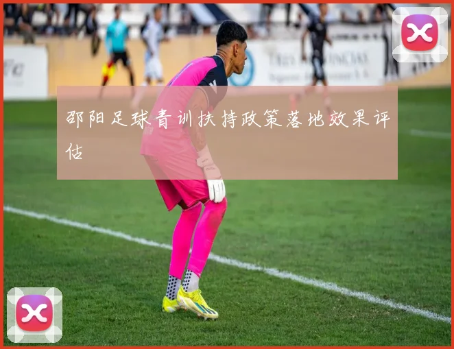 邵阳足球青训扶持政策落地效果评估
