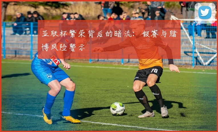 亚联杯繁荣背后的暗流：假赛与赌博风险警示