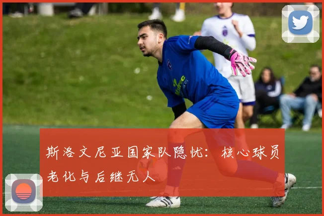斯洛文尼亚国家队隐忧：核心球员老化与后继无人