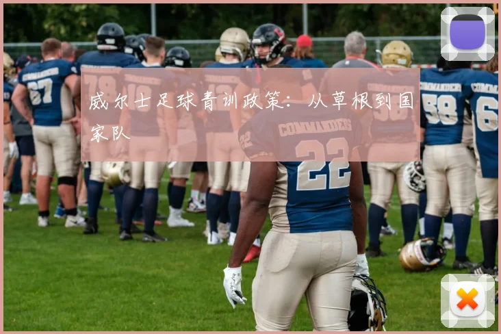 威尔士足球青训政策：从草根到国家队