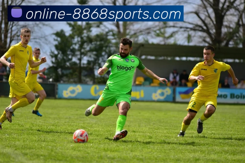 多媒体互动体验